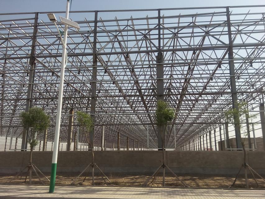 池州汽车工业厂房网架